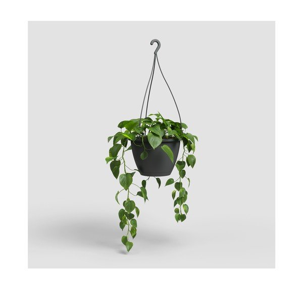 Műanyag virágcserép ø 31 cm Algarve – Artevasi-image-4