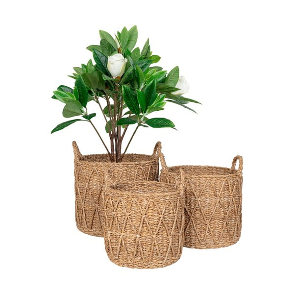 Tengerifű tárolókosár szett 3 db-os ø 32x30 cm Krabi – House Nordic-image-4