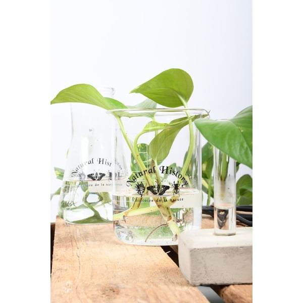 Üveg váza (magasság 12 cm) Natural History – Esschert Design-image-2