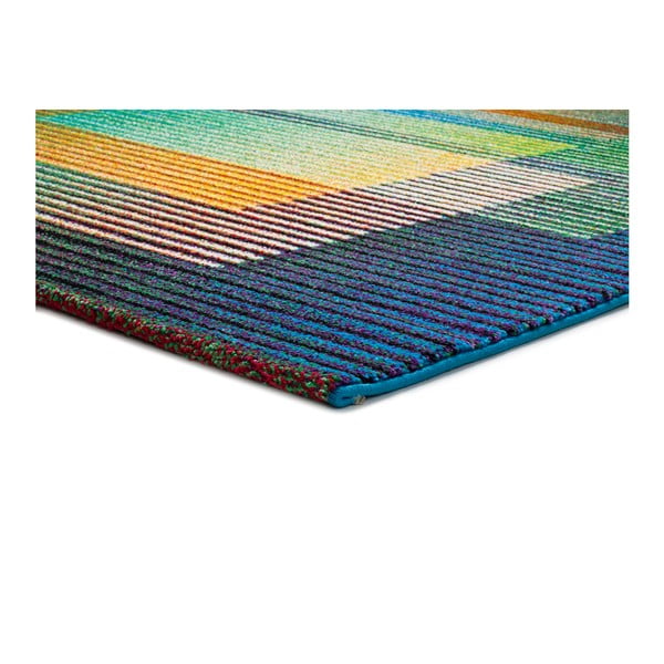 Gio Asombroso szőnyeg, 120 x 170 cm - Universal-image-2