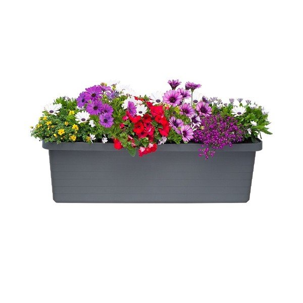 Berberis TRIO antracitszürke önöntöző virágláda, 72 l - Plastia-image-1