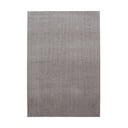 Világosbarna szőnyeg 280x370 cm Ata – Ayyildiz Carpets