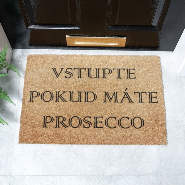 Kókuszrost lábtörlő 40x60 cm Prosecco – Artsy Doormats-image-2
