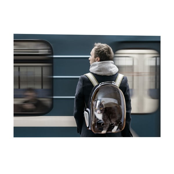 Kisállat hordozó táska 28x33 cm – Love Story-image-3