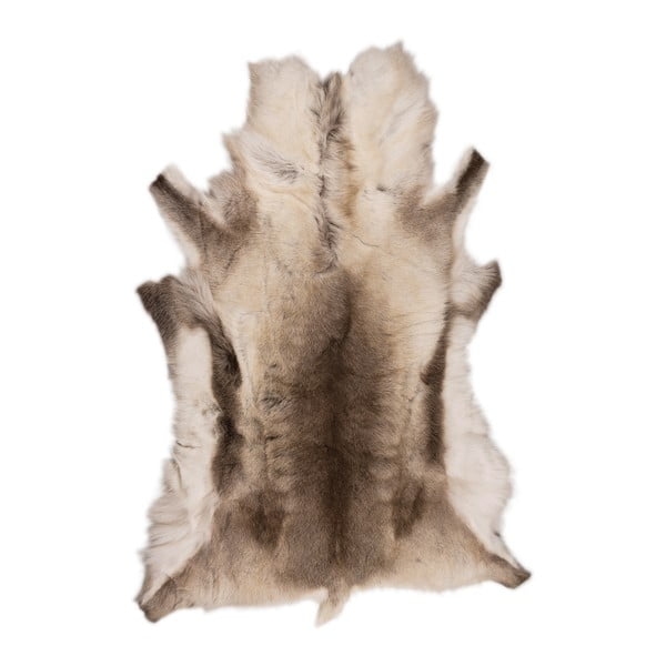 Reino barnás bézs rénszarvas bőr, 120 x 100 cm - Arctic Fur