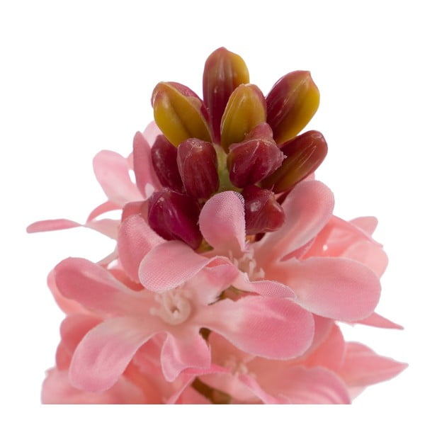 Műnövény (magasság 29 cm) Hyacinth – Ixia-image-2
