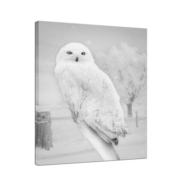 Canvas Nordic Owl fali kép, 75 x 100 cm - Styler