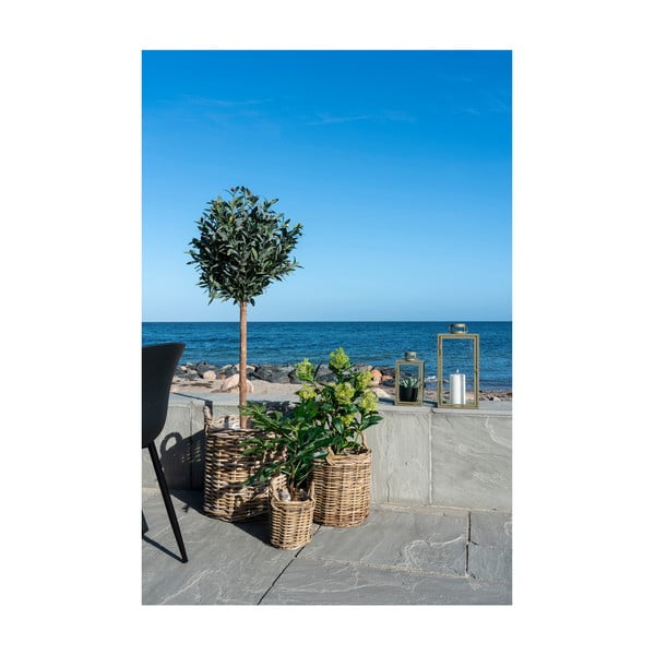 Műnövény (magasság 60 cm) Fig – House Nordic-image-3