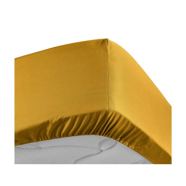 Sárga gumis pamut-perkál lepedő 180x200 cm Percaline – douceur d'intérieur-image-3