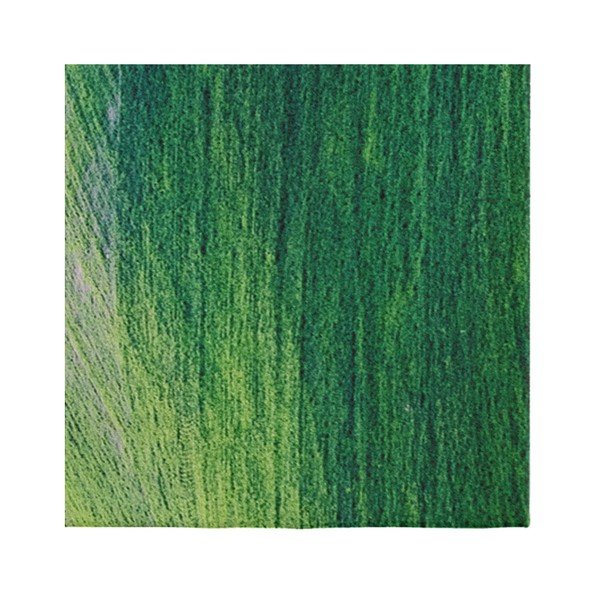Suzzo Garto zöld szőnyeg, 80 x 150 cm - Oyo home-image-1