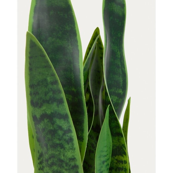 Műnövény (magasság 55 cm) Sansevieria – Kave Home-image-3