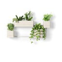 Műanyag függő virágcserép készlet fűszernövényekhez, 4 db-os  Cubiko – Umbra
