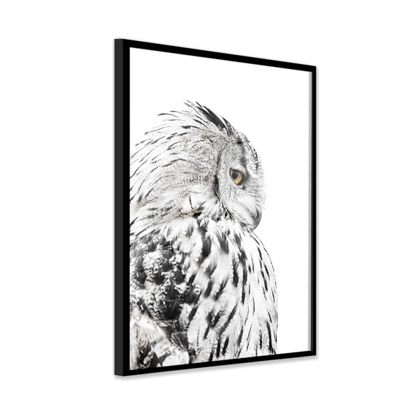Kép 50x70 cm Owl – Styler-image-3