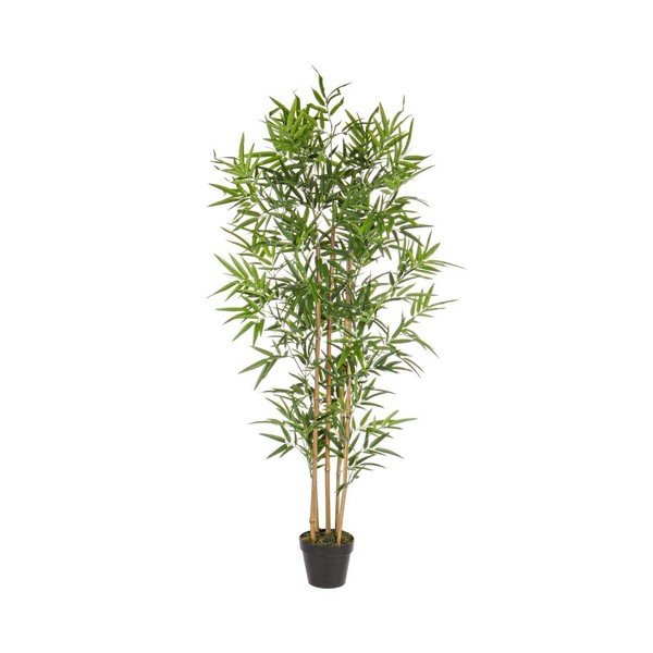 Bambusz műnövény (magasság 155 cm) Bamboo – Bizzotto