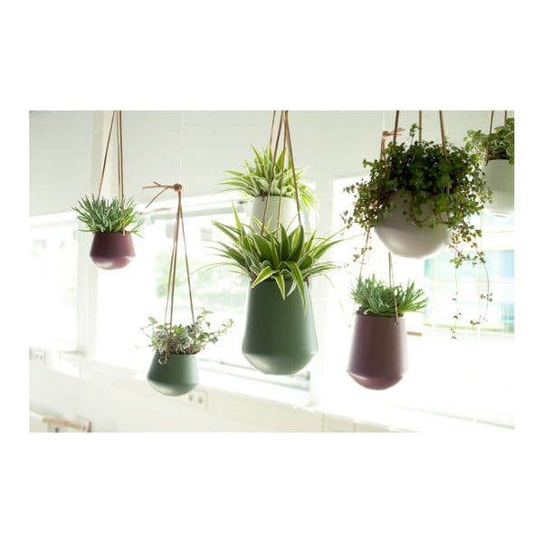 Kerámia függő virágcserép ø 12 cm Skittle – PT LIVING-image-3