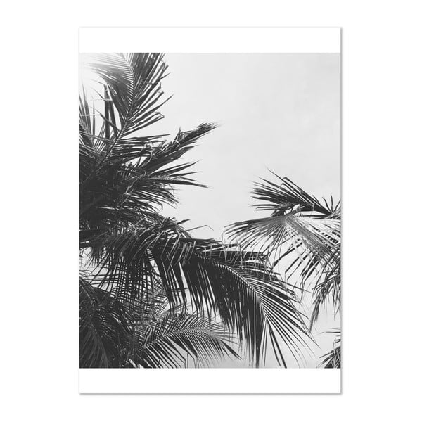 Botanic Palm poszter, 50 x 70 cm - HF Living
