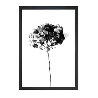 Velvet Flower kép, 24 x 29 cm - Tablo Center