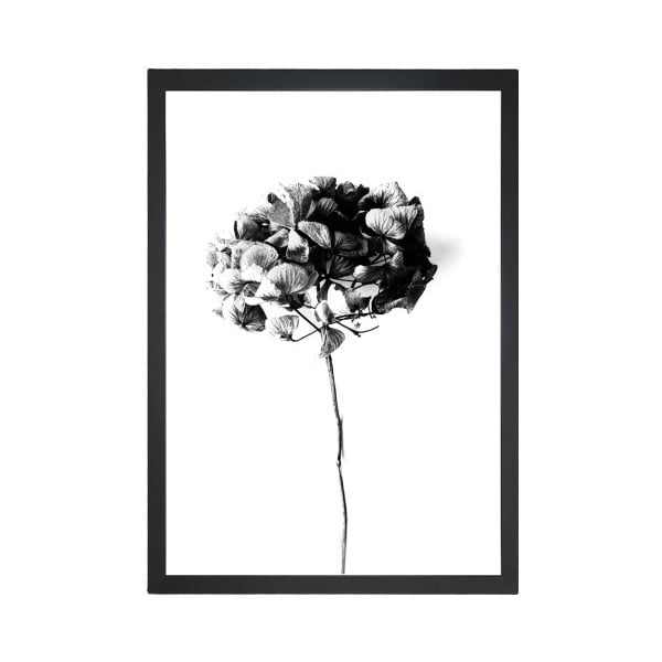 Poszter 24x29 cm Velvet Flower – Tablo Center