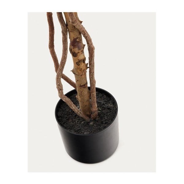 Fikusz műnövény (magasság 180 cm) Ficus – Kave Home-image-2