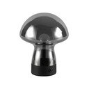 Szürke LED asztali lámpa üveg búrával (magasság 18 cm) Dooley – Reality