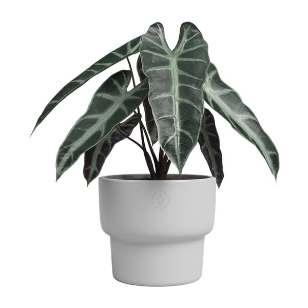 Kerámia kézzel készített virágcserép ø 17 cm Echo – Artevasi-image-1