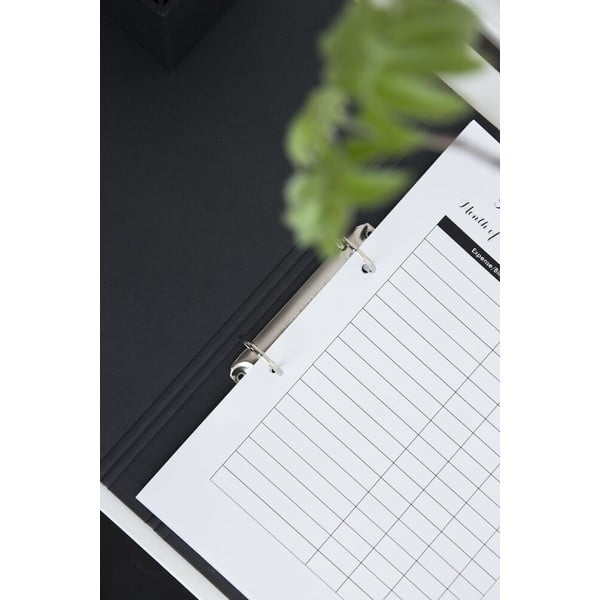 Karton rendszerező dokumentumokhoz Ringo – Bigso Box of Sweden-image-1