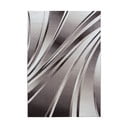 Barna szőnyeg 160x230 cm Parma – Ayyildiz Carpets