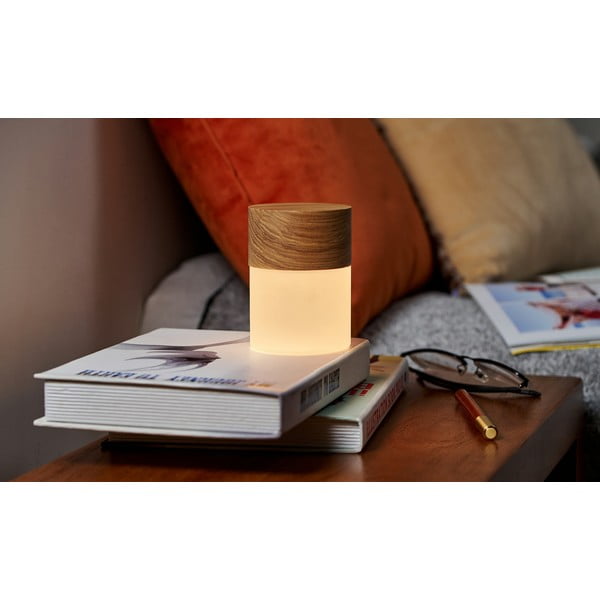 Sötétbarna szabályozható asztali lámpa üveg búrával (magasság 10,5 cm) Lemelia – Gingko-image-1