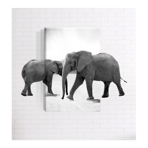 Elephants 3D fali kép, 40 x 60 cm - Mosticx