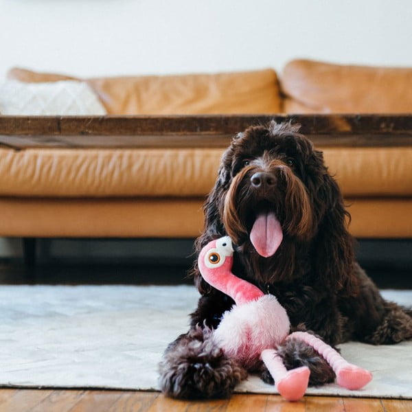 Játék kutyáknak Flamingo - P.L.A.Y.-image-1