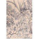 Mentazöld-bézs gyapjú szőnyeg 133x190 cm V&A Calisia Kelp – Agnella