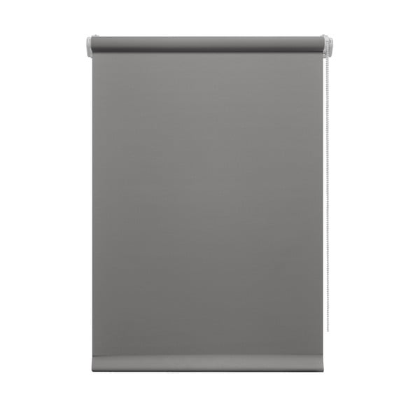 Sötétszürke roló 97x150 cm Mini Relax – Gardinia