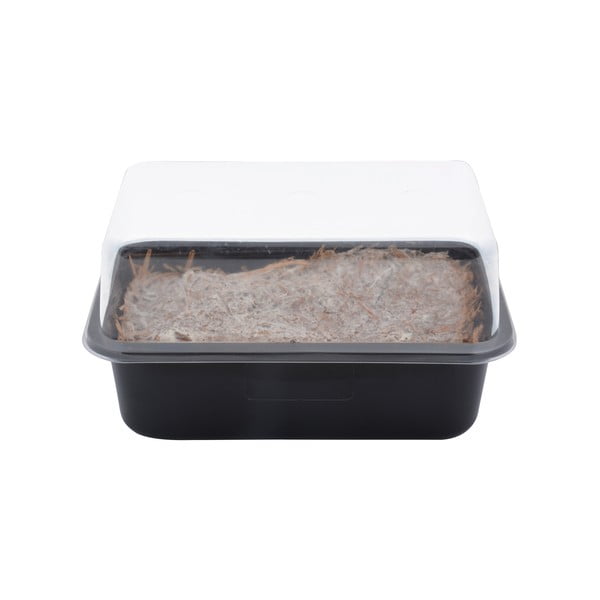 Termesztő Field Mushroom – Esschert Design-image-3