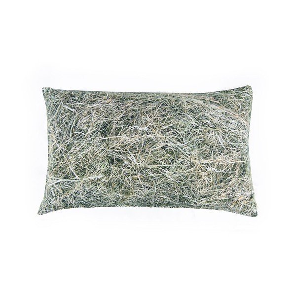 Széna pamutkeverék díszpárna hajdina töltettel, 50 x 30 cm - Foonka-image-1