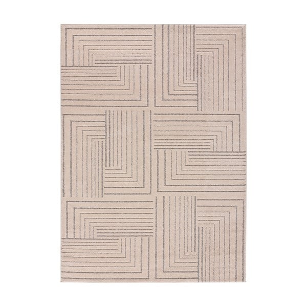 Bézs szőnyeg 160x230 cm Paula – Universal