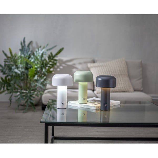 Szürke LED asztali lámpa (magasság 21,5 cm) Bobby – Star Trading-image-2