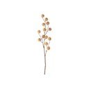 Művirág (magasság 68 cm) Poppy Berry – PT LIVING