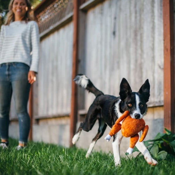 Játék kutyáknak Turkey - P.L.A.Y.-image-1