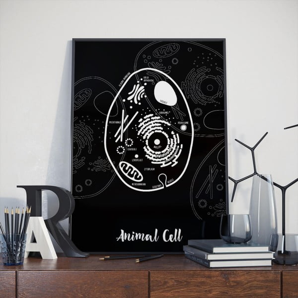 Animal Cell fekete poszter, 30 x 40 cm - Follygraph