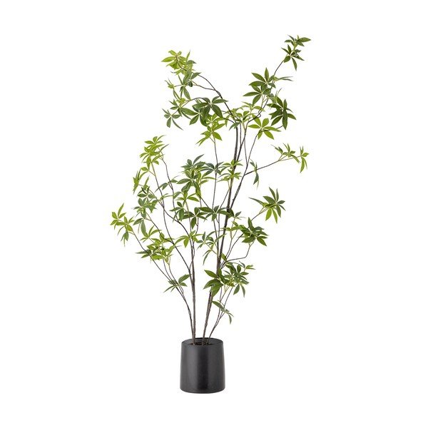 Műnövény (magasság 160 cm) Palmatum – Bloomingville