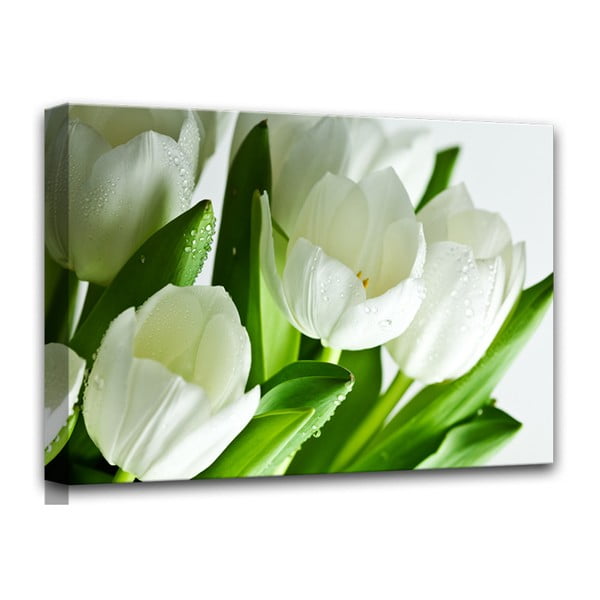 Canvas White Tulips fali kép, 60 x 80 cm - Styler