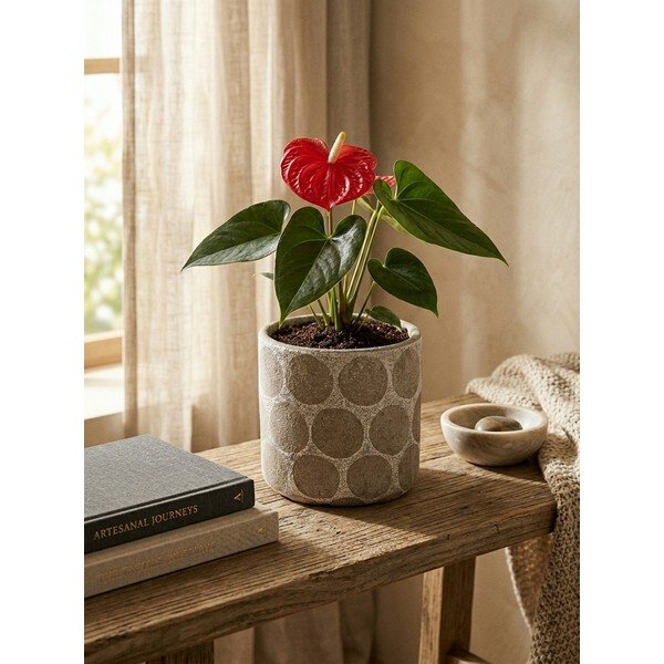 Terrakotta kézzel készített kaspó ø 12 cm Felan – Bloomingville-image-2