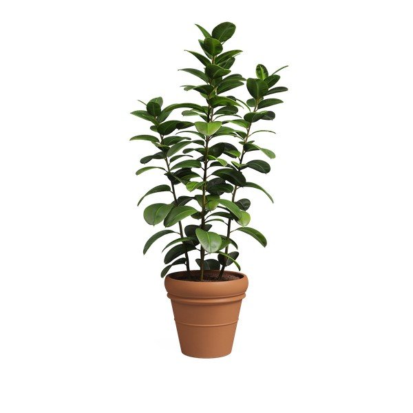 Terrakotta virágcserép ø 47 cm Mariza – Artevasi-image-4