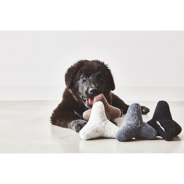 Kutyajáték Quattro Greige S/M – MiaCara-image-2