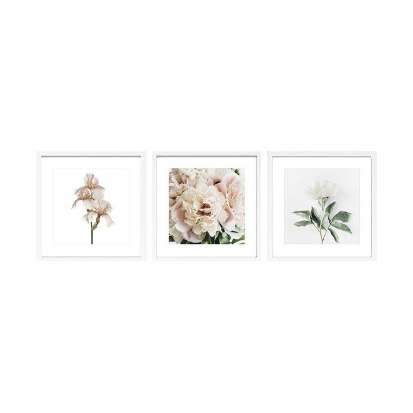 Nyomtatott keretezett kép szett 3 db-os 30x30 cm Posy – Styler