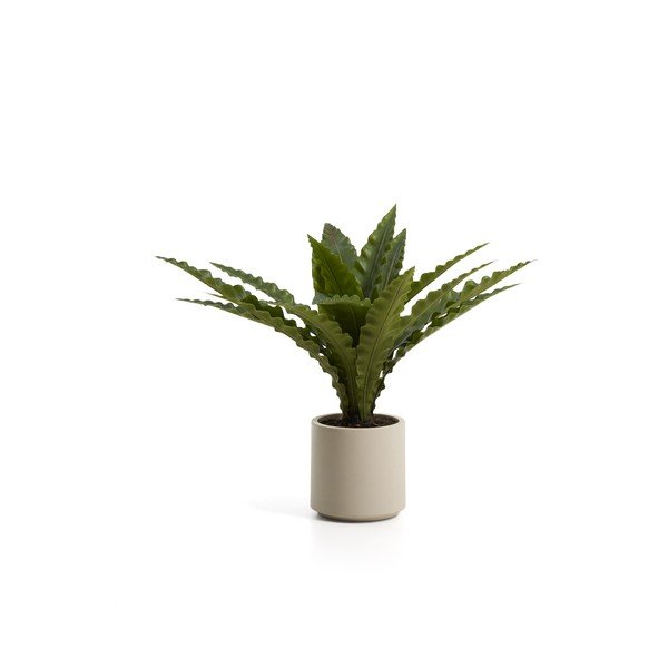 Suculent műnövény (magasság 70 cm) Neottopteris – Kave Home
