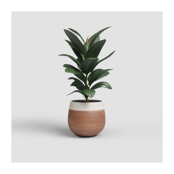 Kerámia kézzel készített virágcserép ø 20 cm Antheia – Artevasi-image-1