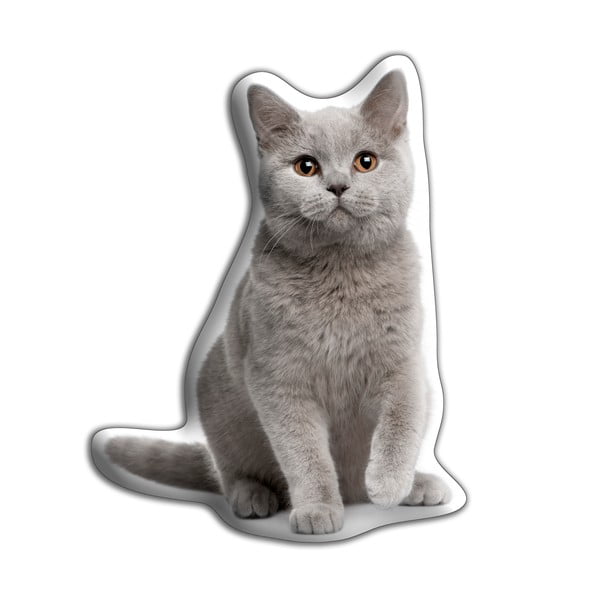 Brit rövidszőrű macska párna - Adorable Cushions