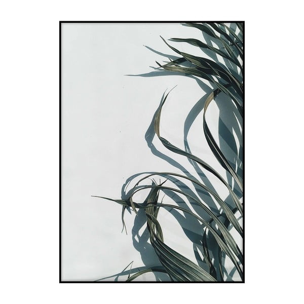 Palm Shadows plakát, 40 x 30 cm - Imagioo