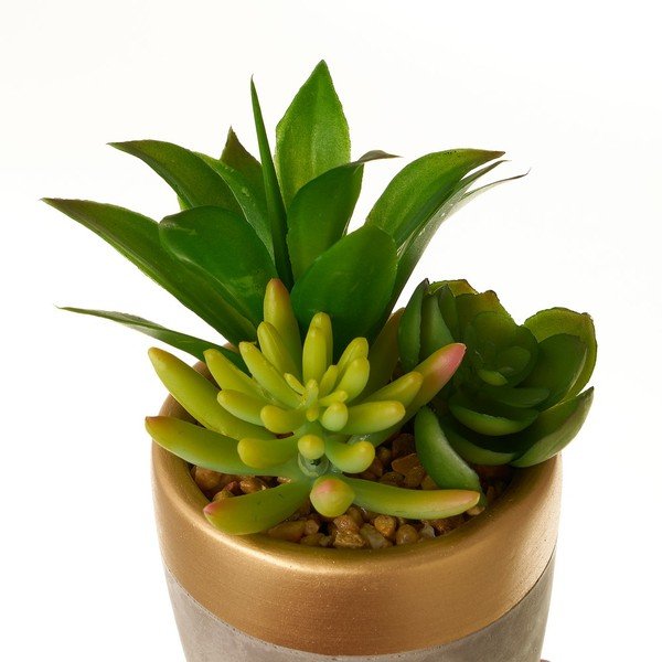 Műnövény szett 4 db-os (magasság 17 cm) Cactus – Casa Selección-image-4